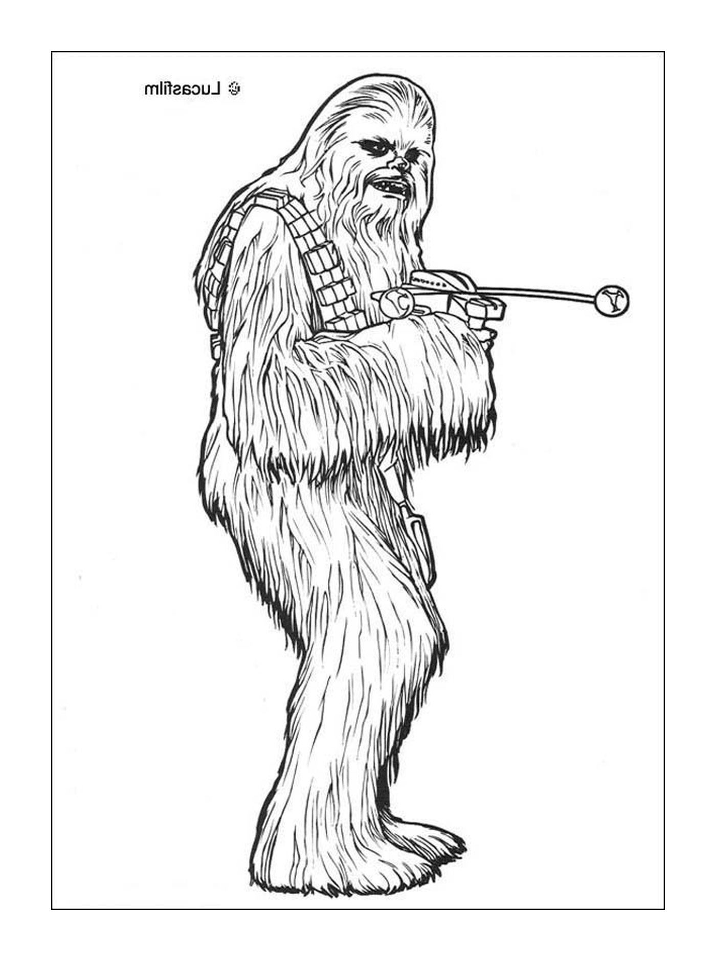   Wookiee poilu 