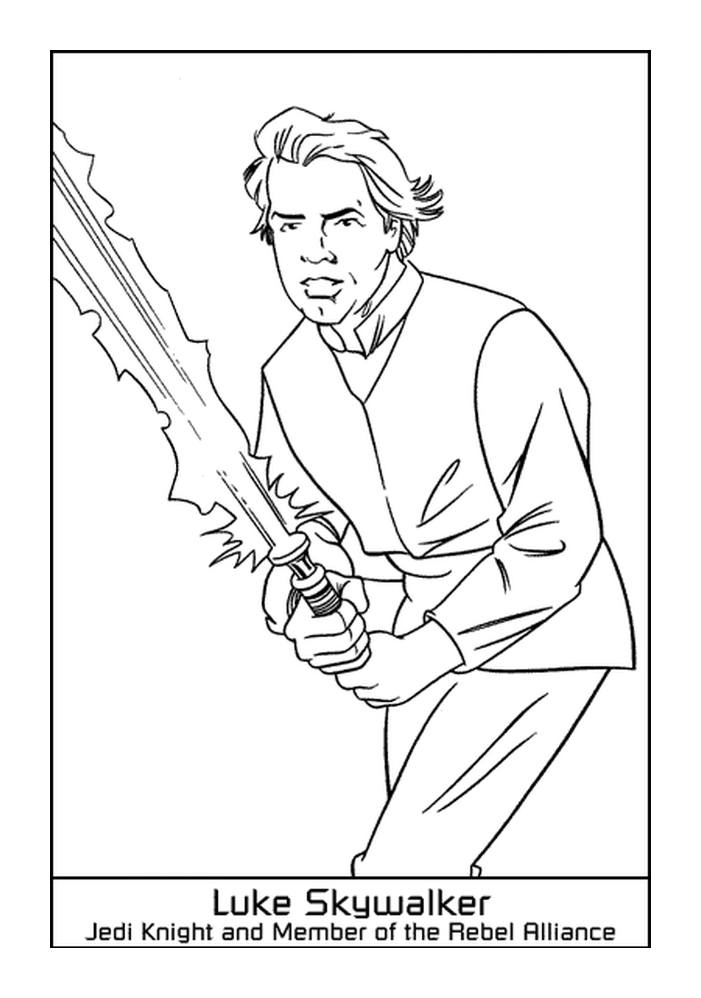   Luke Skywalker, le héros 