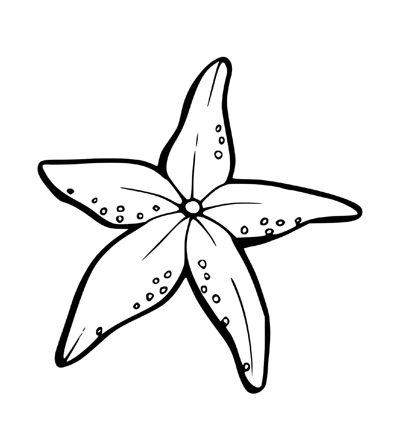   Une étoile de mer en forme de fleurs 