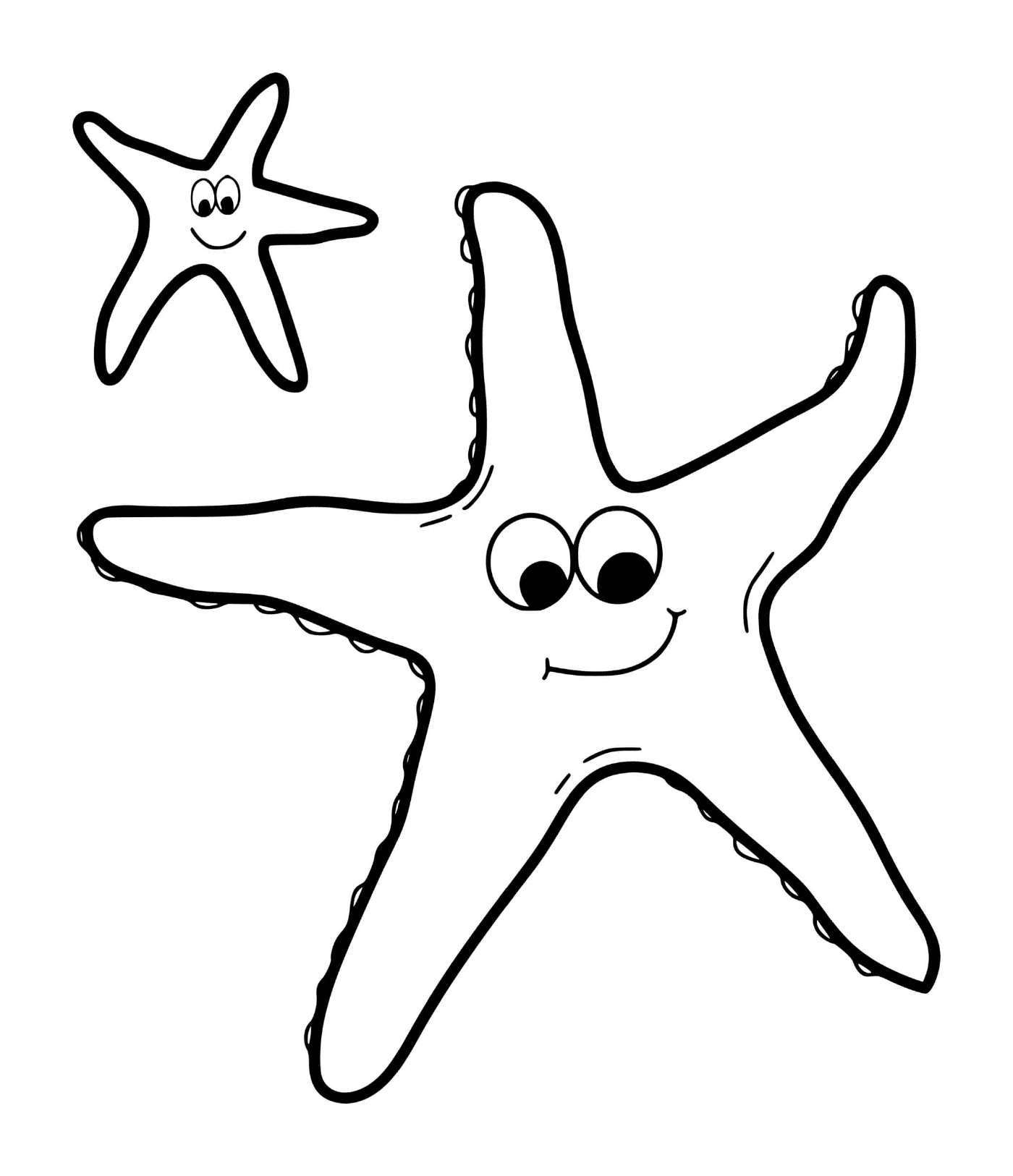   Deux étoiles de mer souriantes 