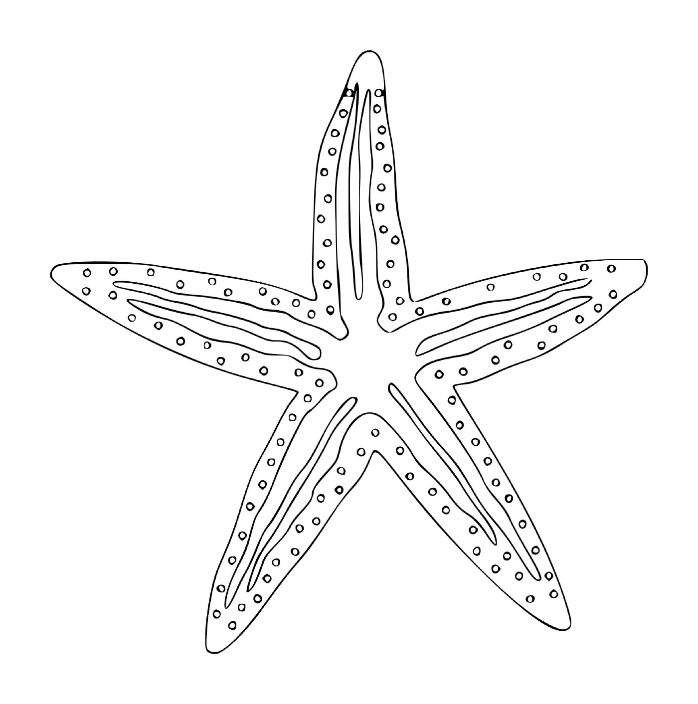   Une étoile de mer en forme d'animal marin 