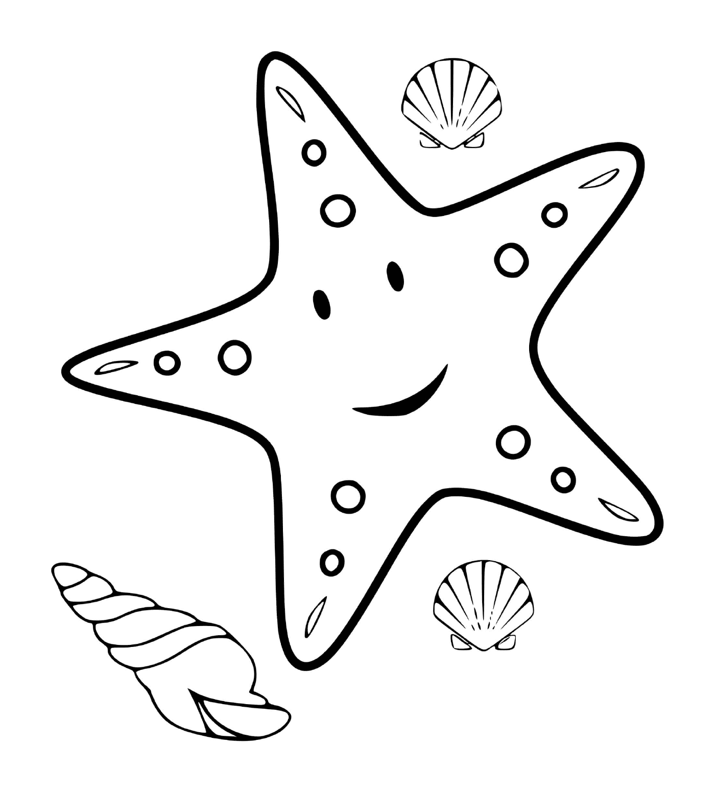   Une étoile de mer accompagnée de coquillages marins 