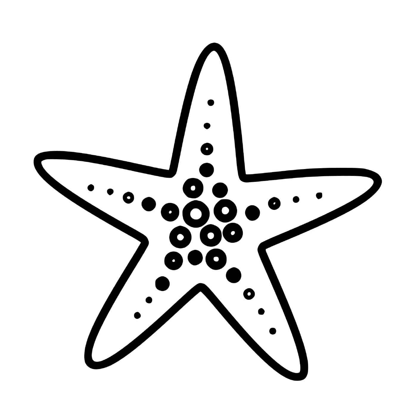   Une étoile de mer de la famille des Forcipulatida 