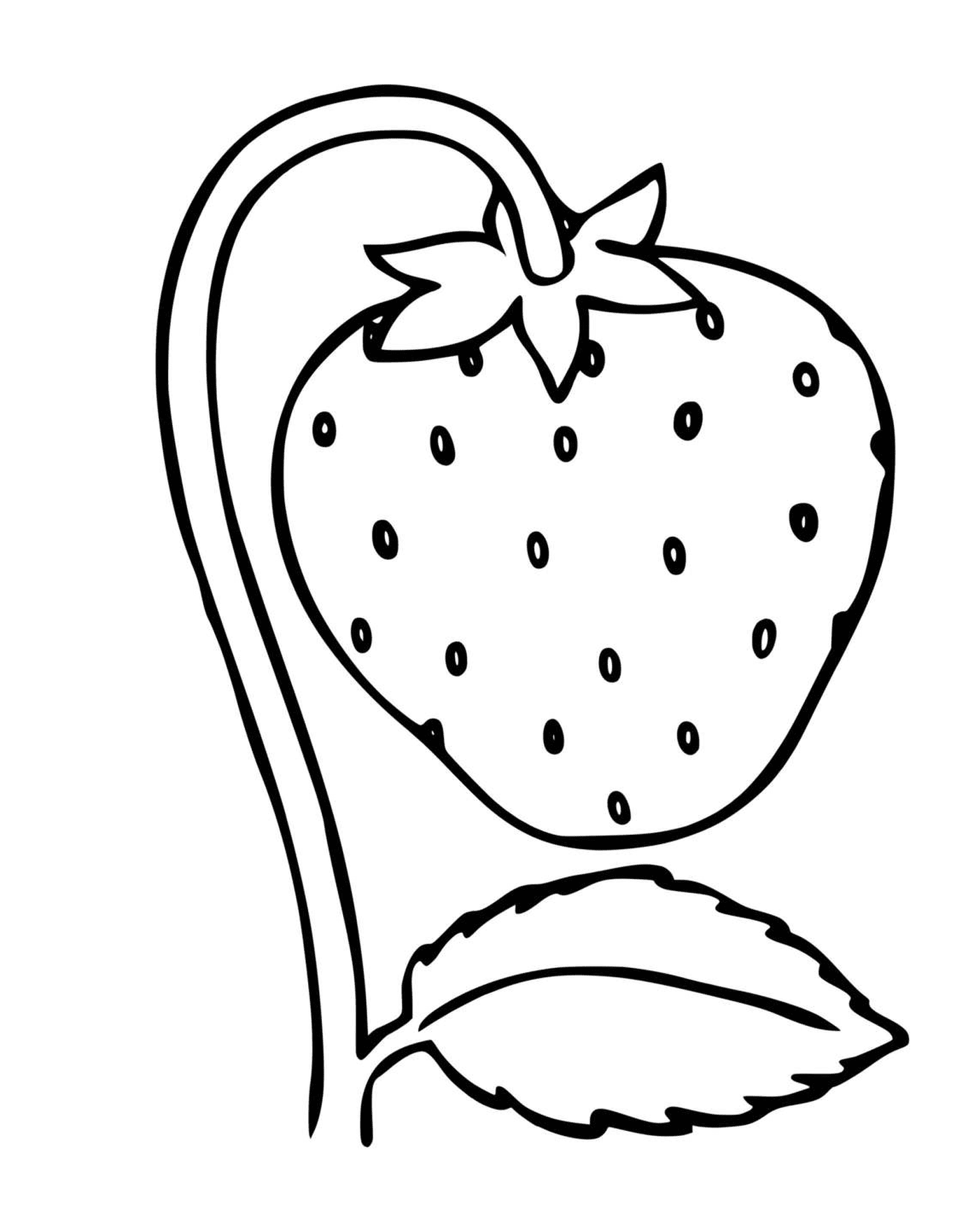   Fraise sur un fraisier 