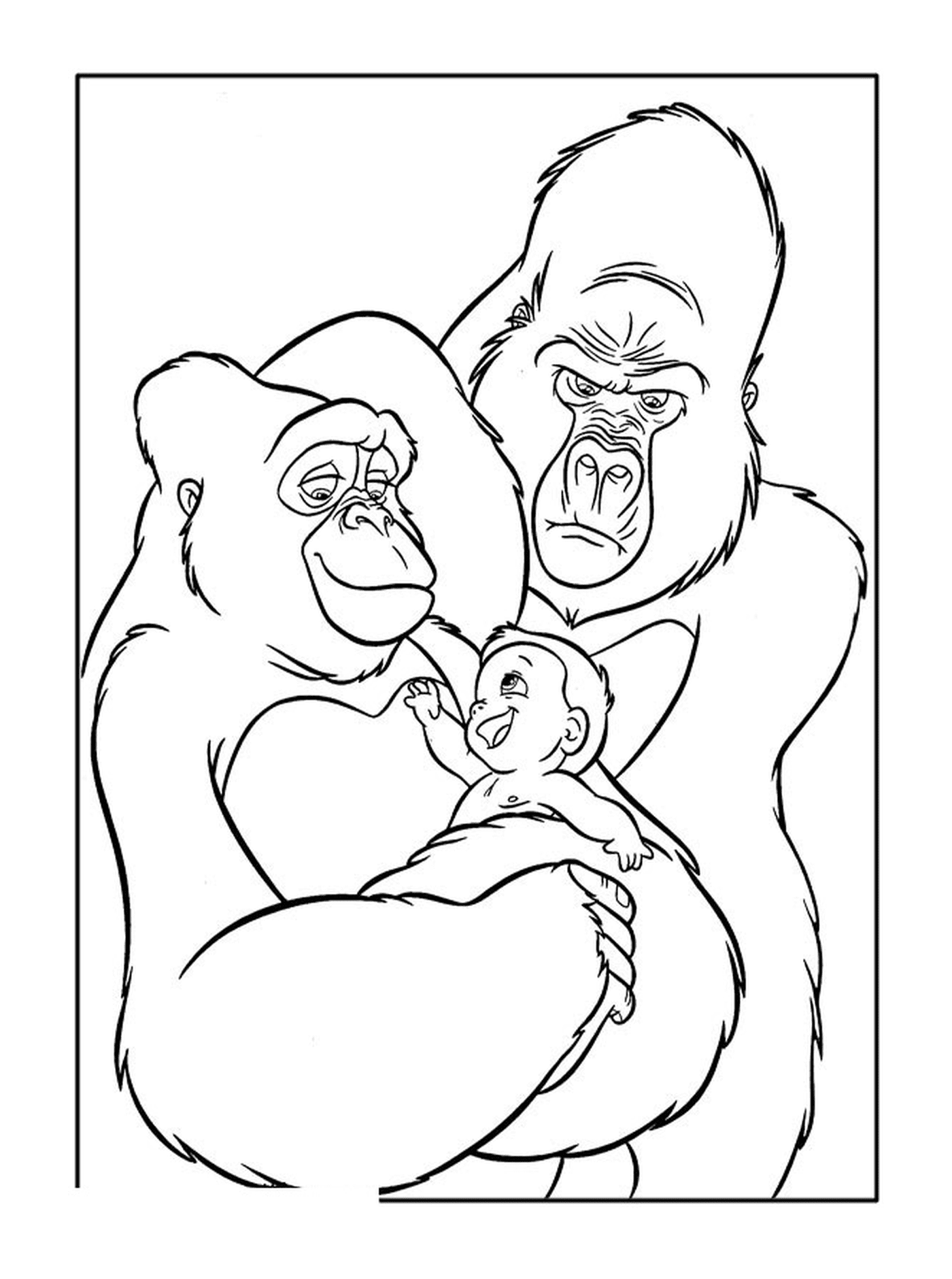   Gorille et son bébé 