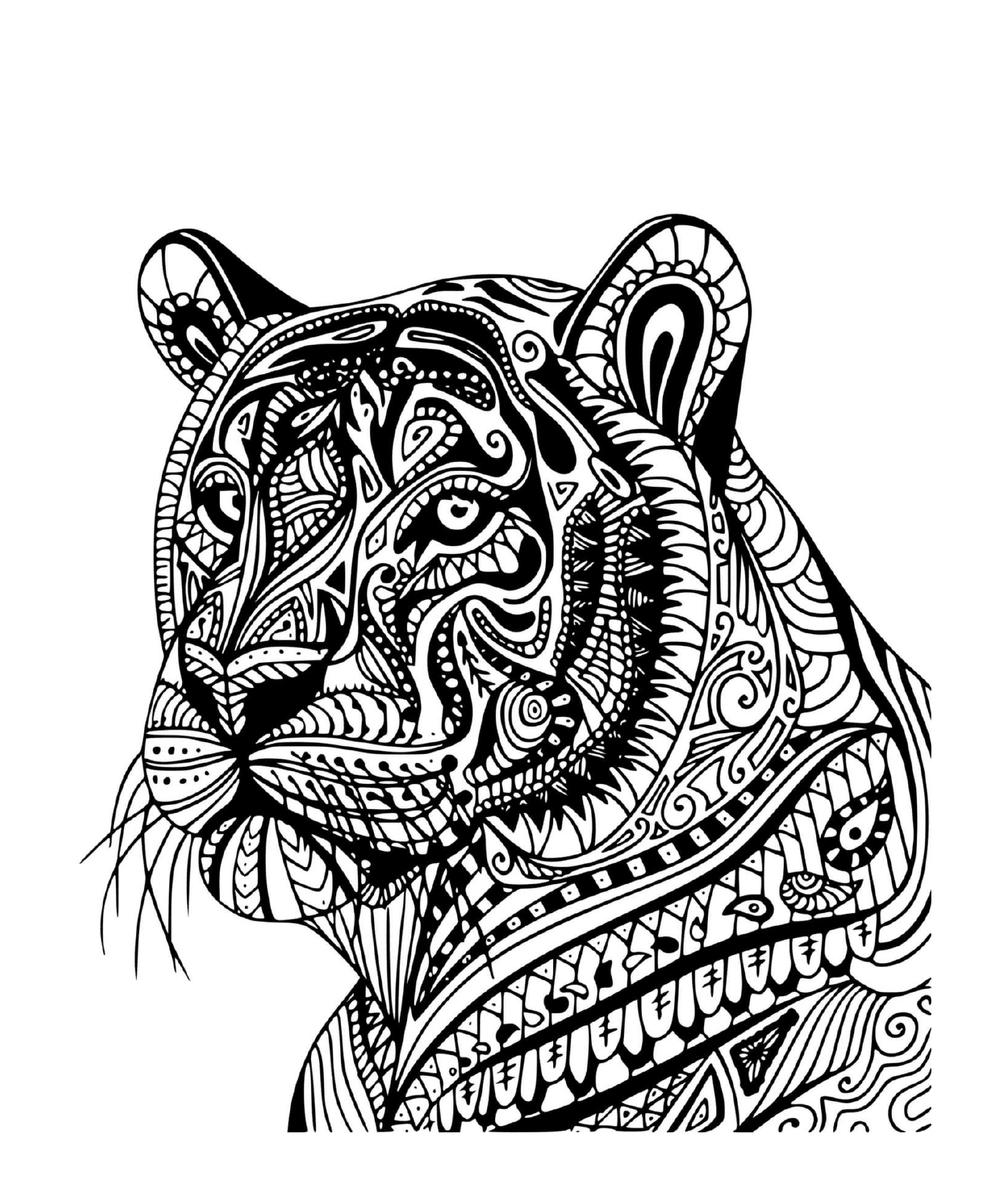   Un tigre adulte en profil 