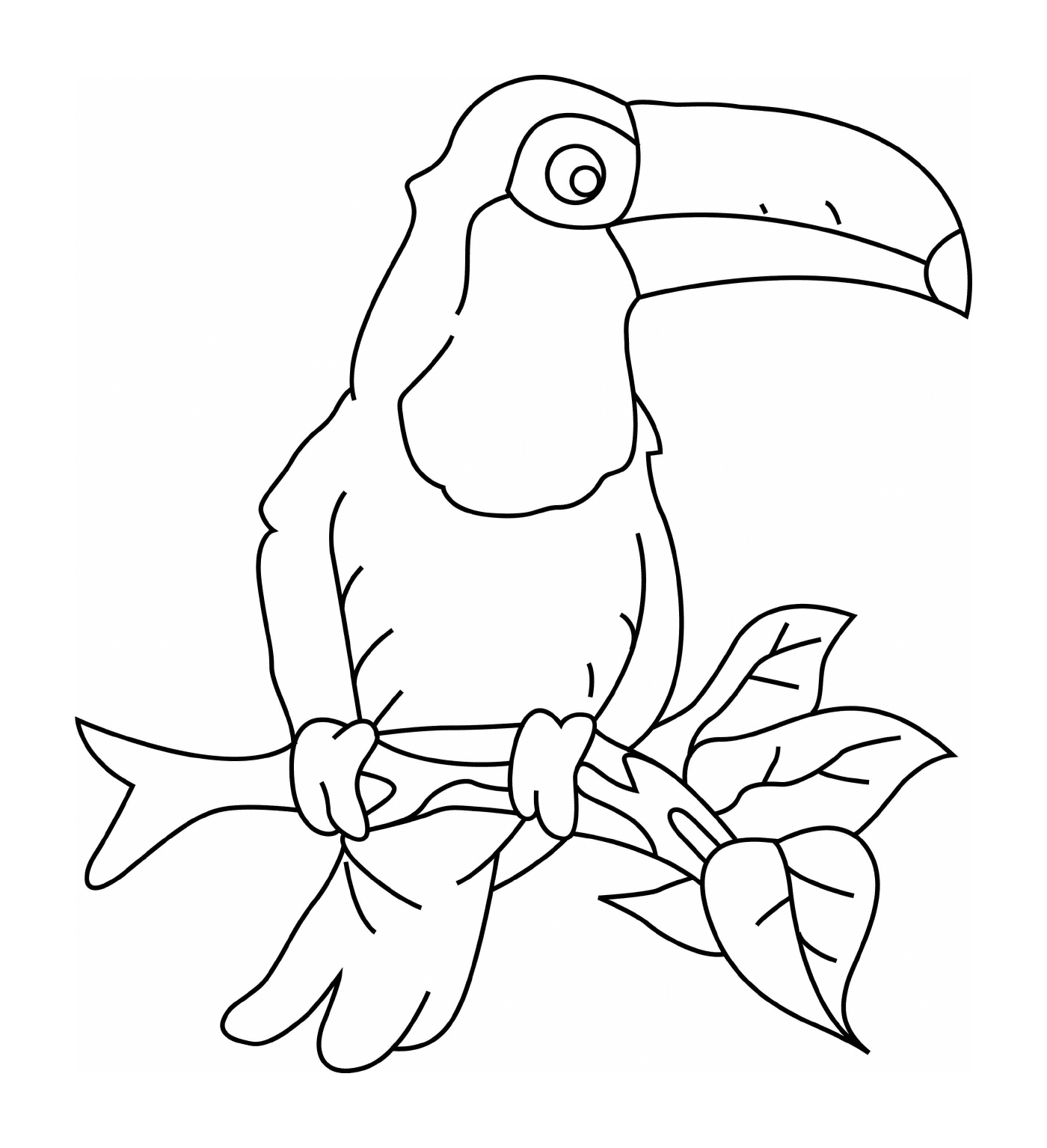   Toucan avec bec jaune et tache noire 