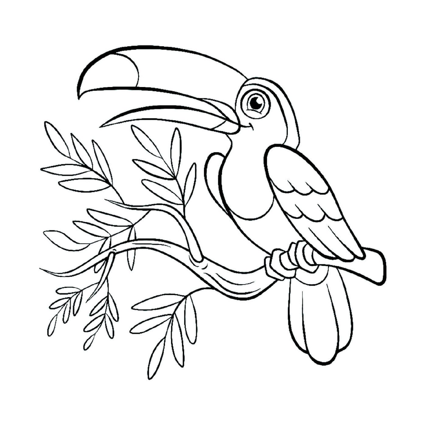   Toucan toco assis sur une branche 
