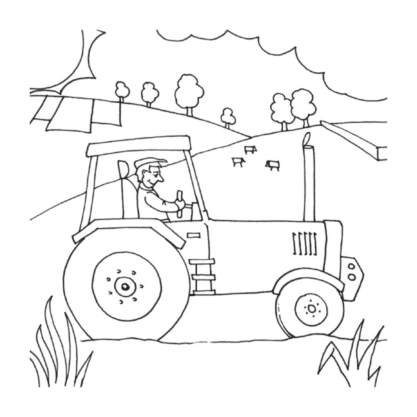  Ferme avec tracteur, vie rurale active 