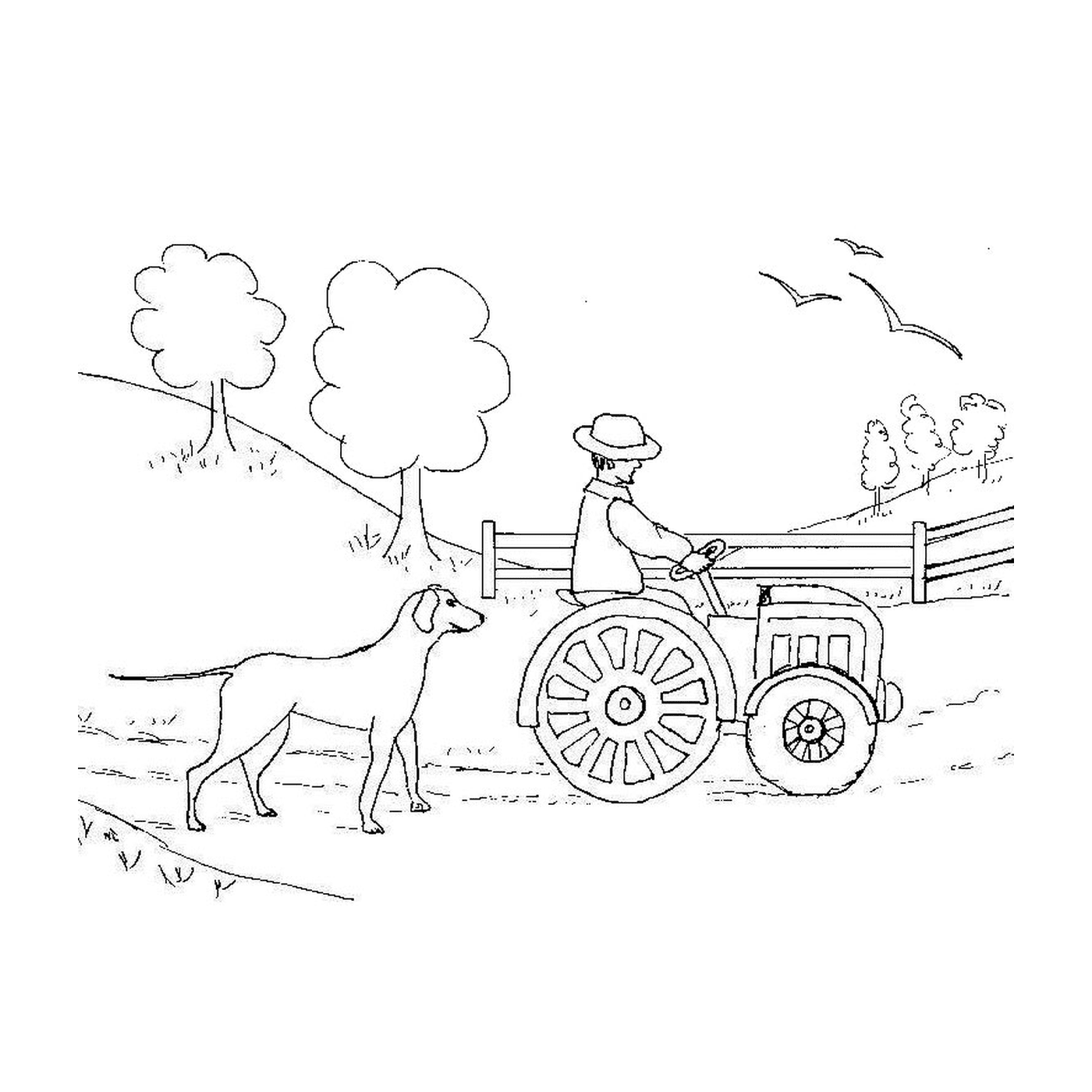   Homme conduit tracteur ferme 