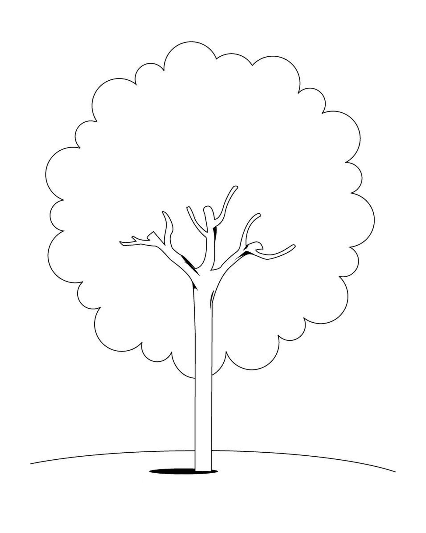   Une image d'un arbre 