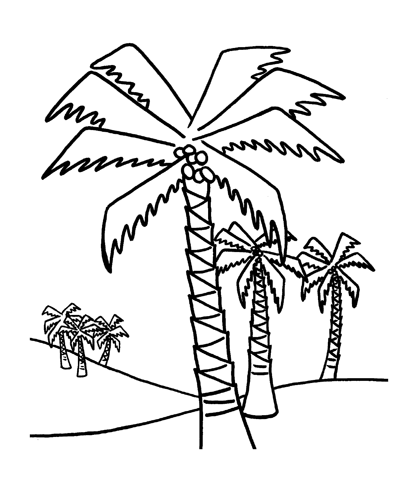   Des palmiers 