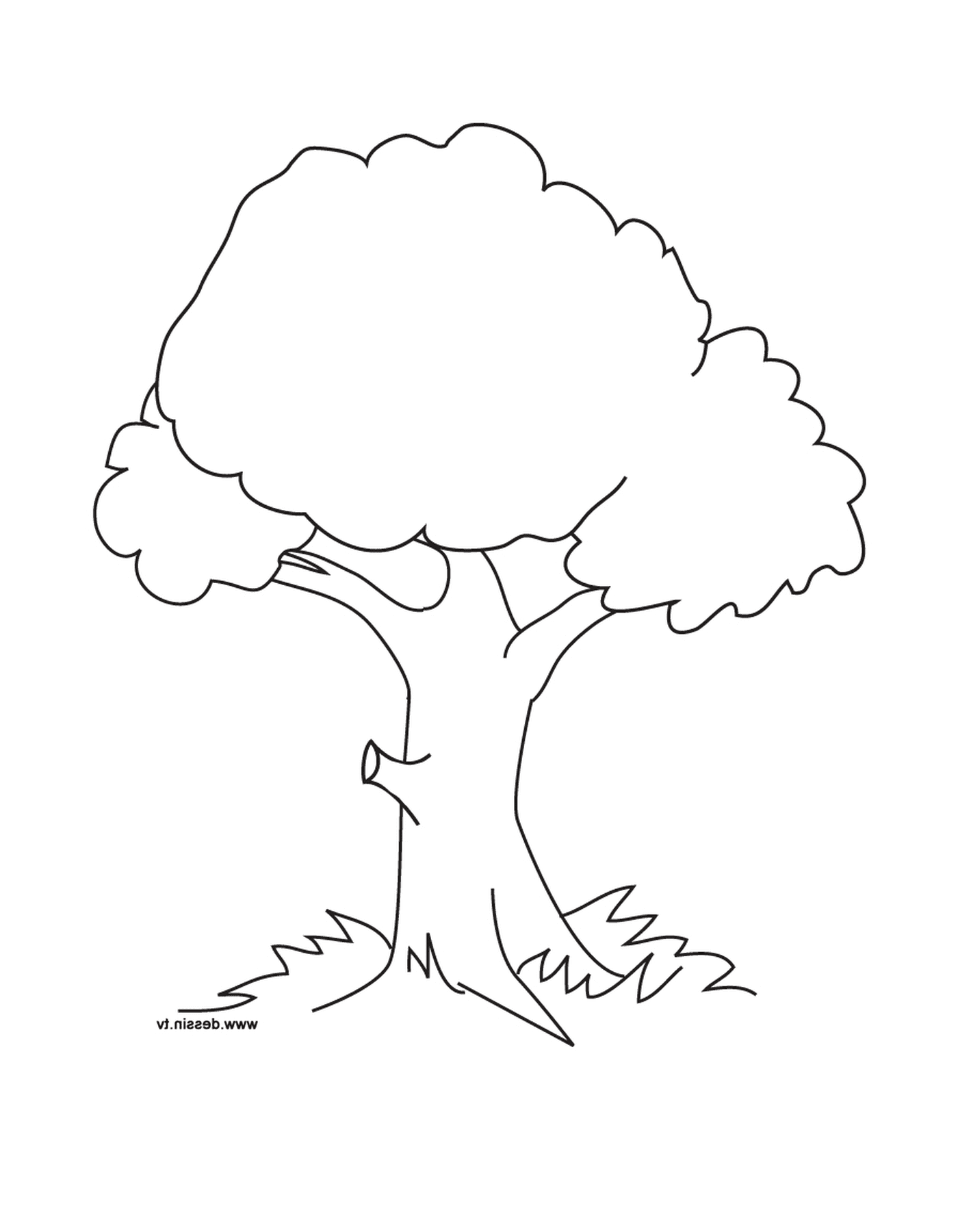  arbre 