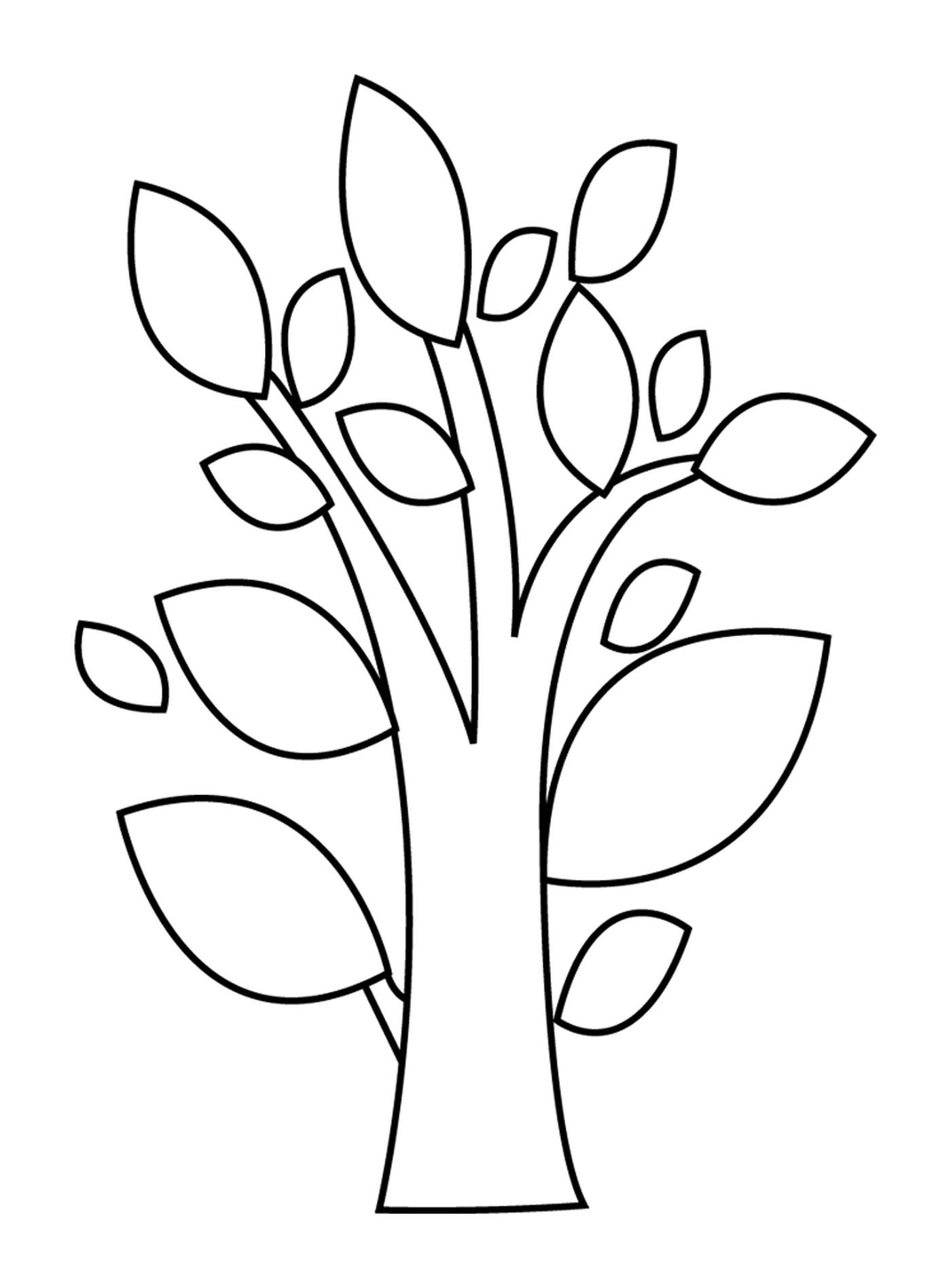   Un arbre feuillu 
