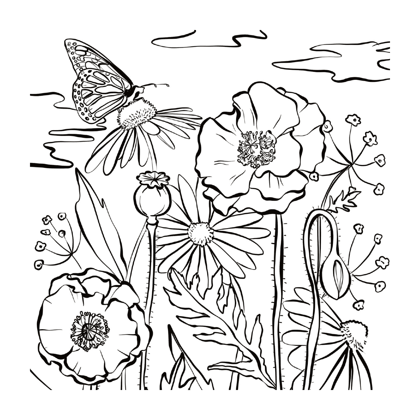   Papillon et fleurs 