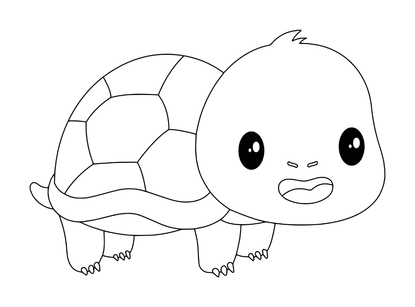   Bébé tortue kawaii 