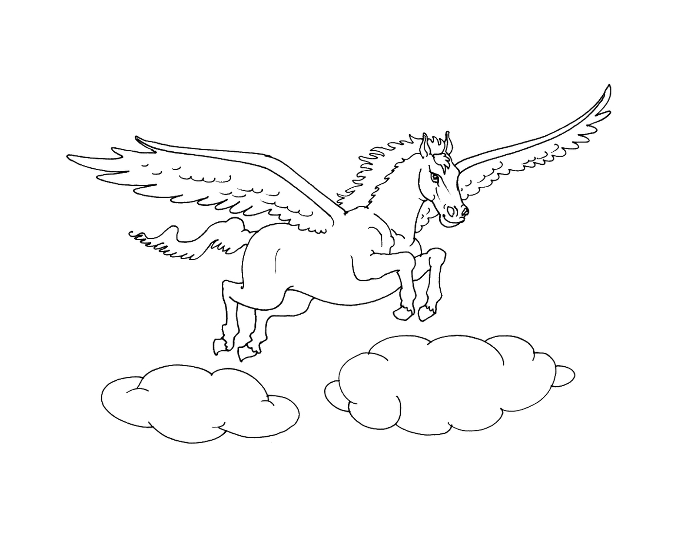   cheval ailé volant au-dessus des nuages 