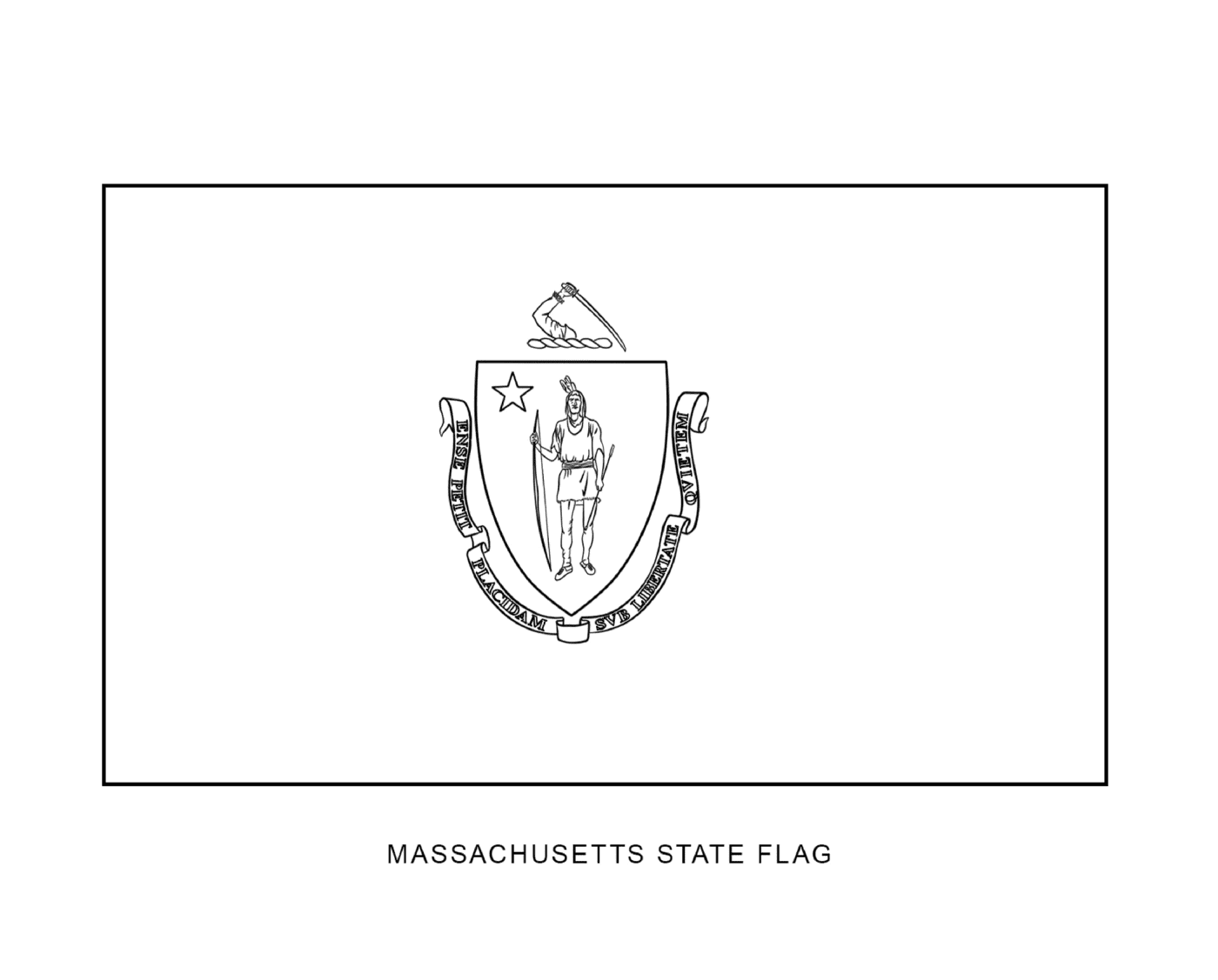   Drapeau de l'État du Massachusetts en noir et blanc 