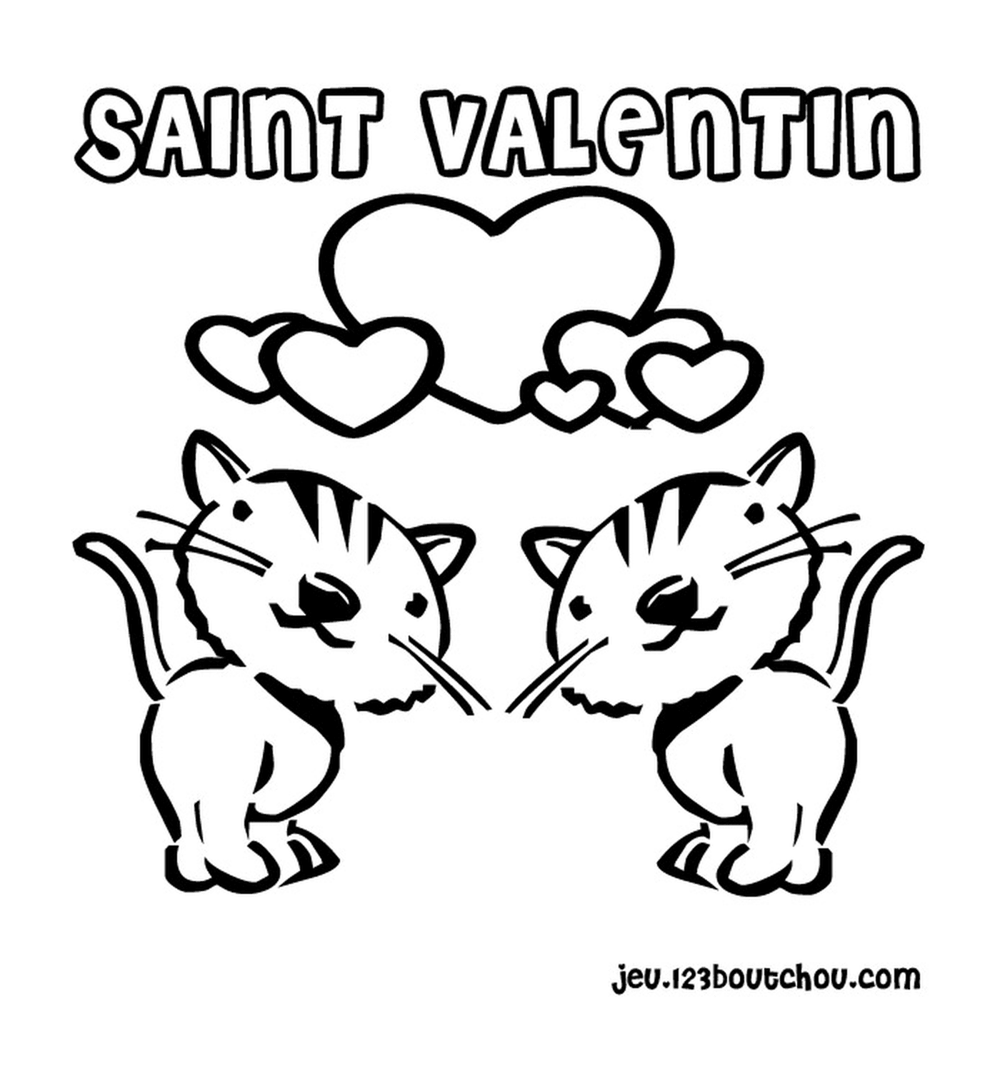   Saint-Valentin, chats amoureux 