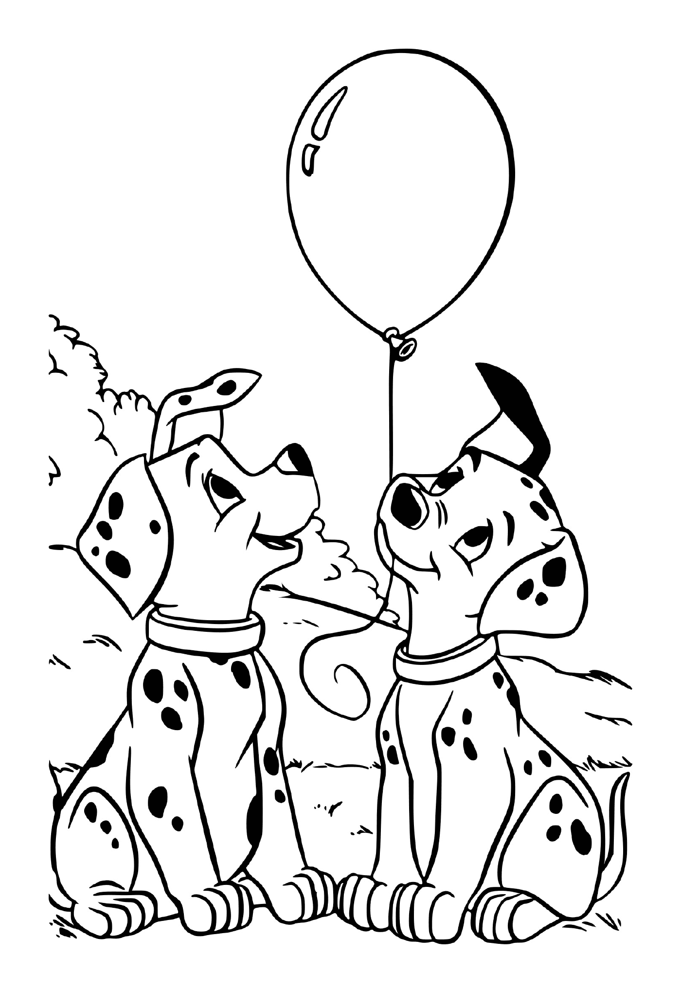   Deux dalmatiens regardent un ballon 