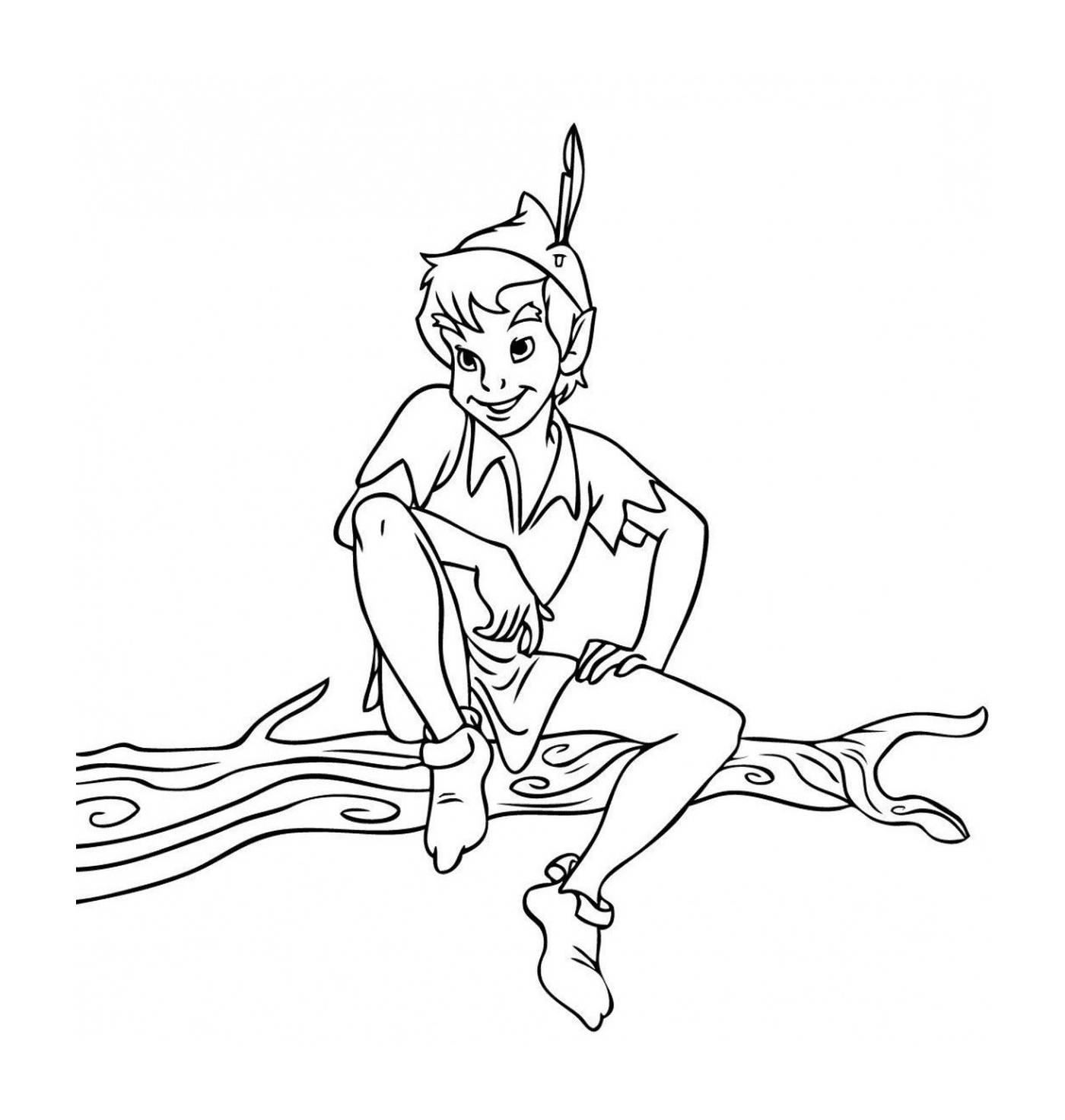   Un adulte de Peter Pan assis sur une branche d'arbre 