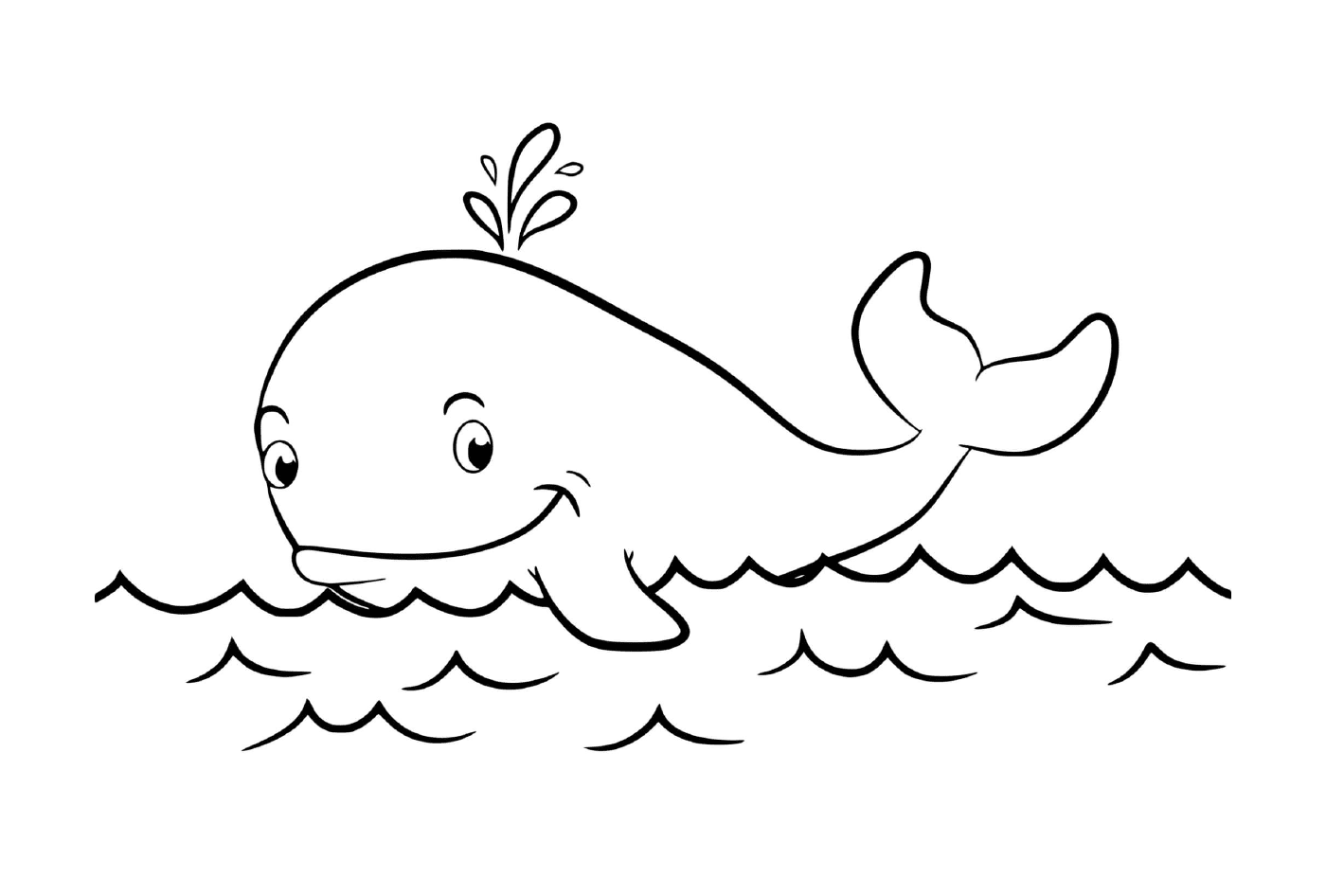   une baleine dans l'eau 