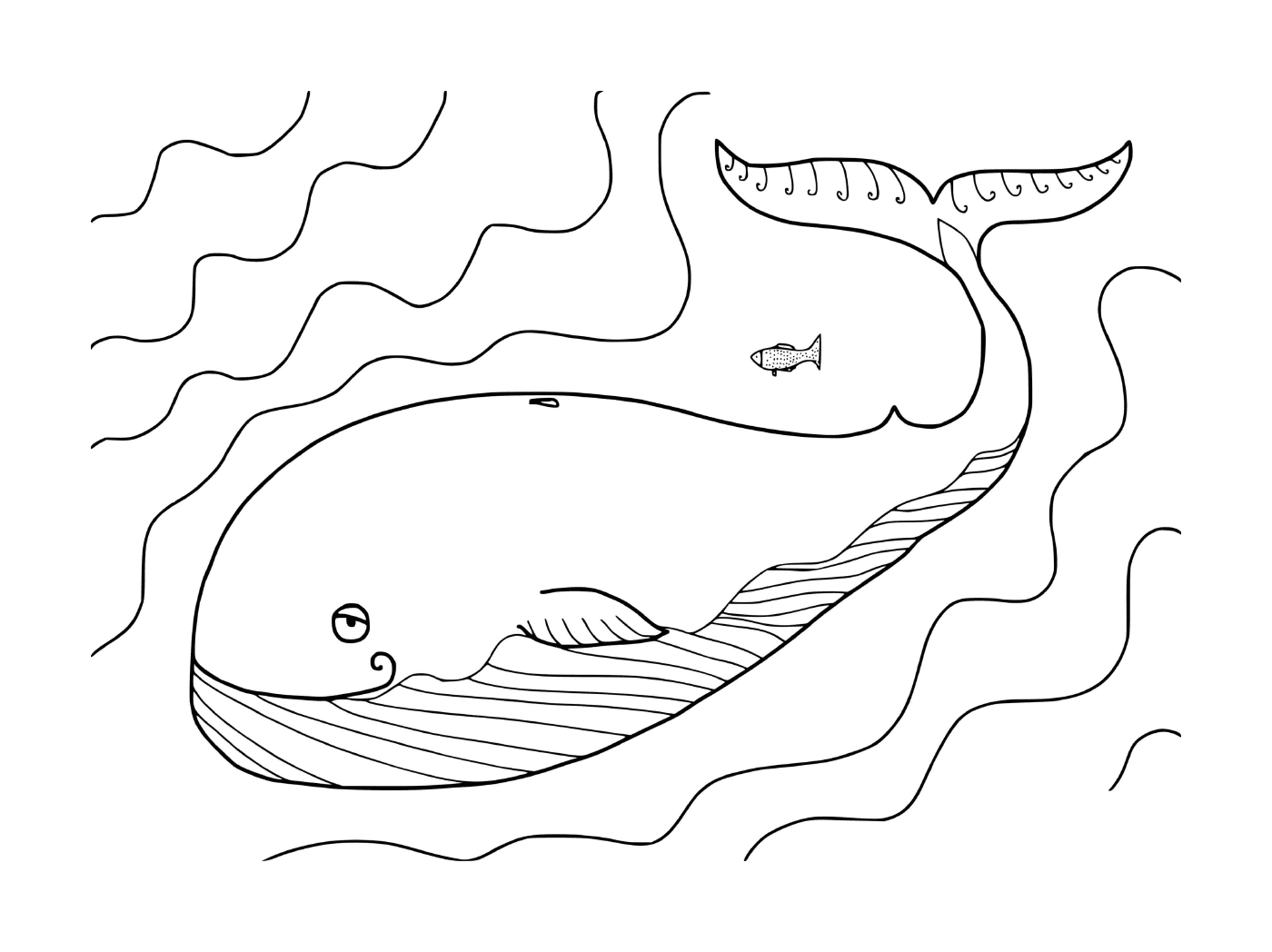   une baleine et un poisson 