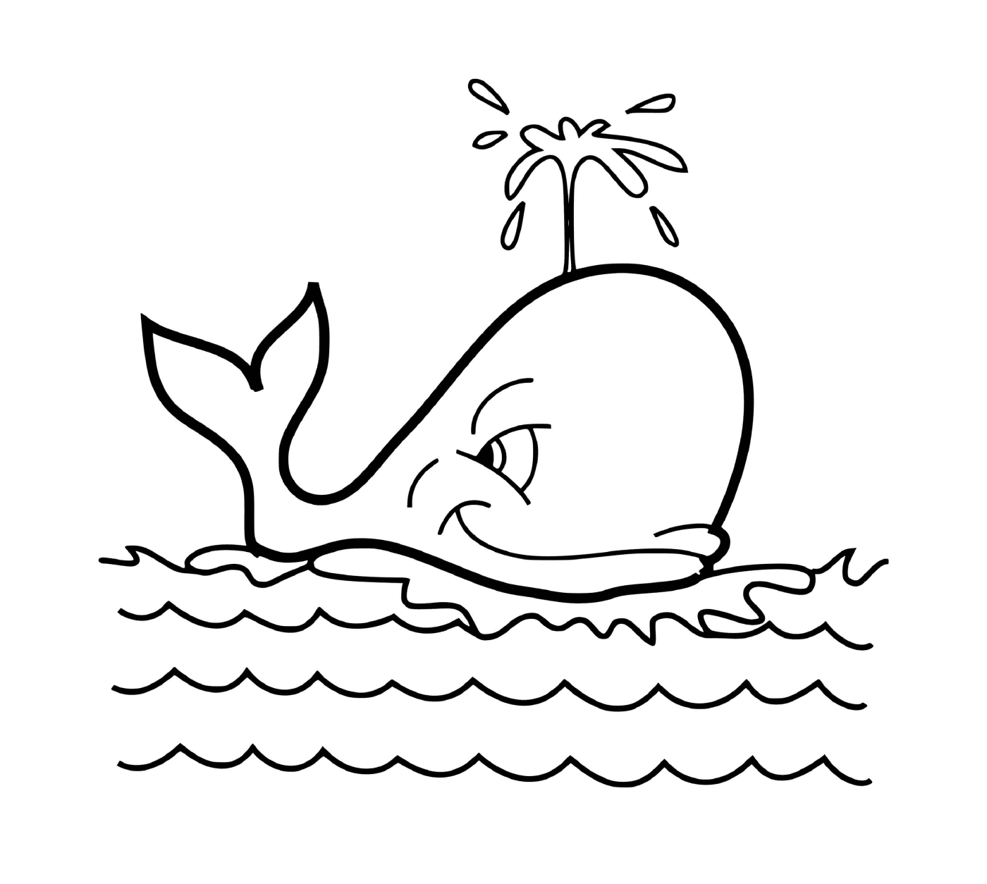   une baleine dans l'eau 
