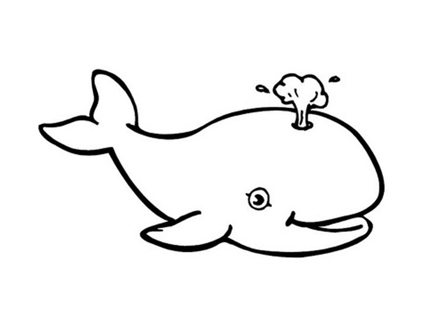   une baleine avec un éclaboussement qui sort de sa tête 