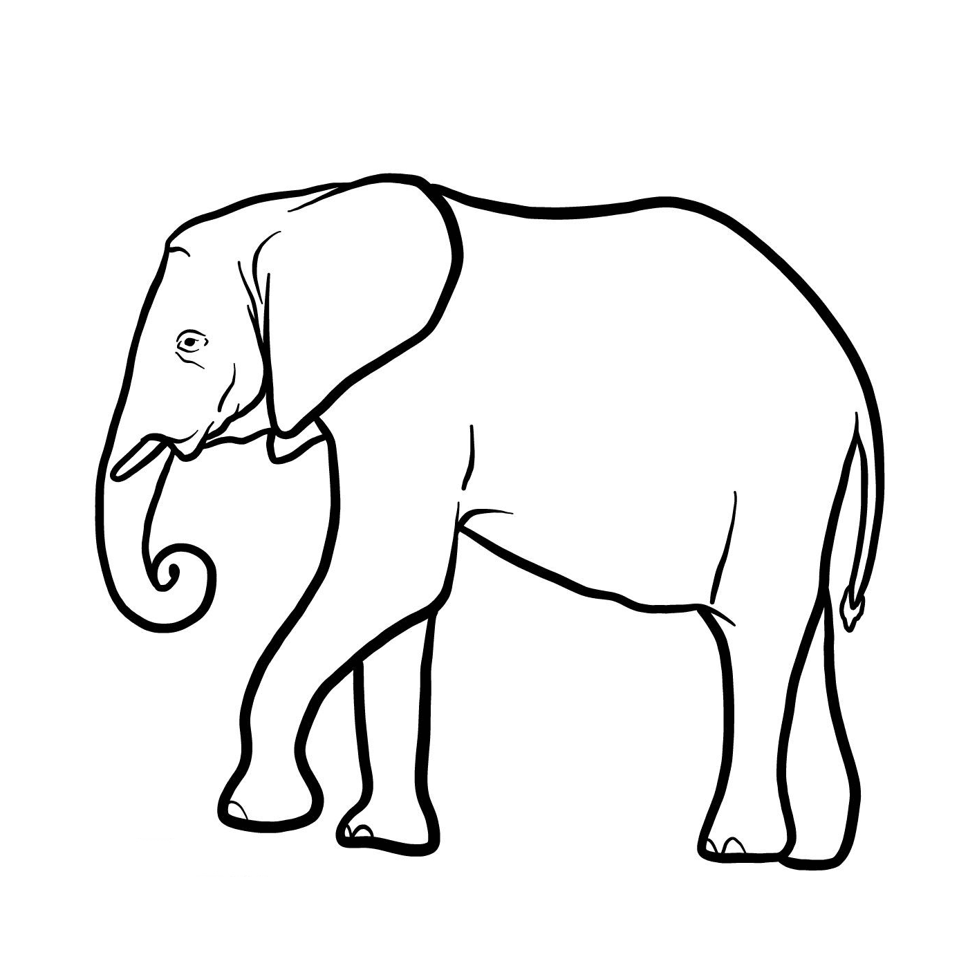   Un éléphant avec une trompe longue 