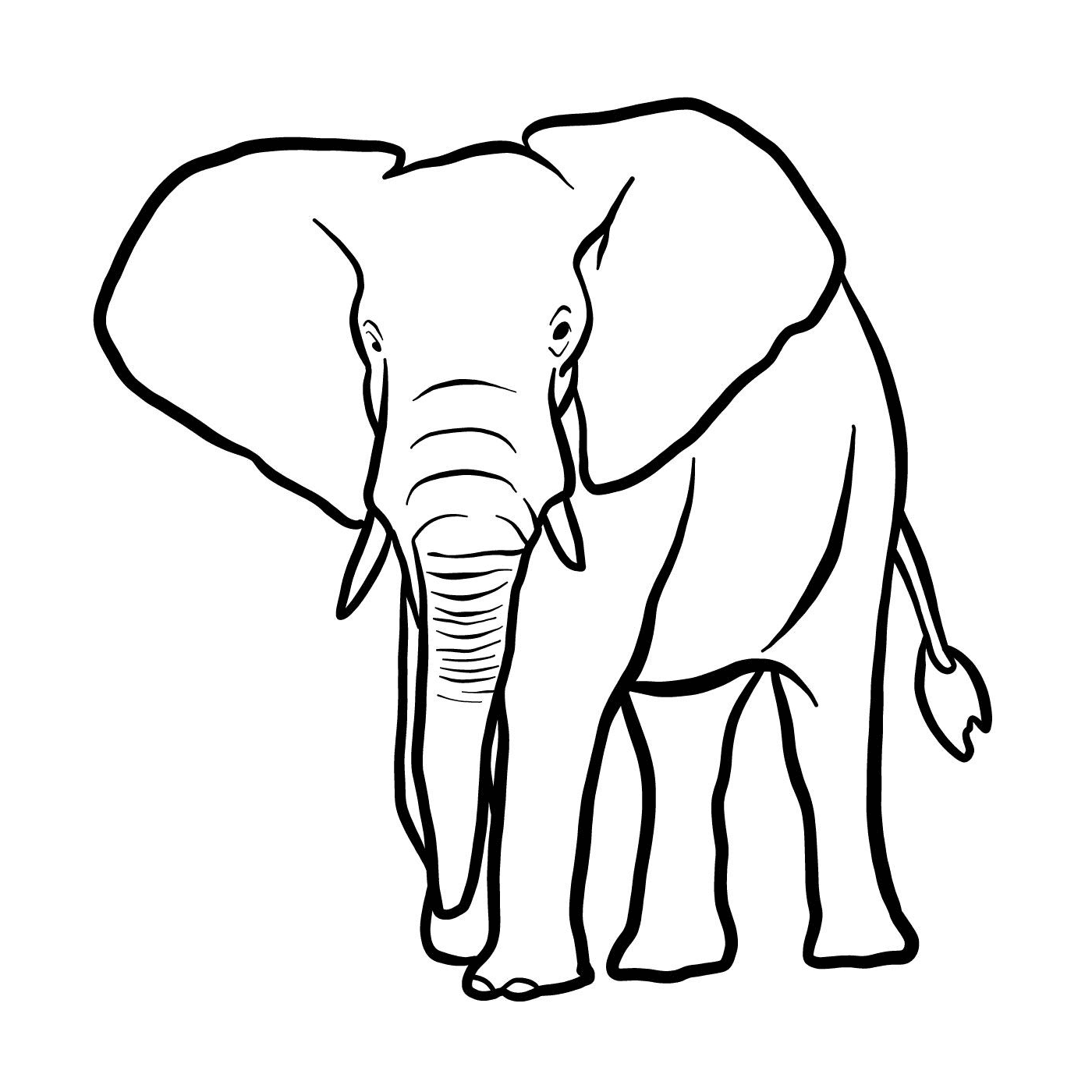   Un éléphant avec des défenses 