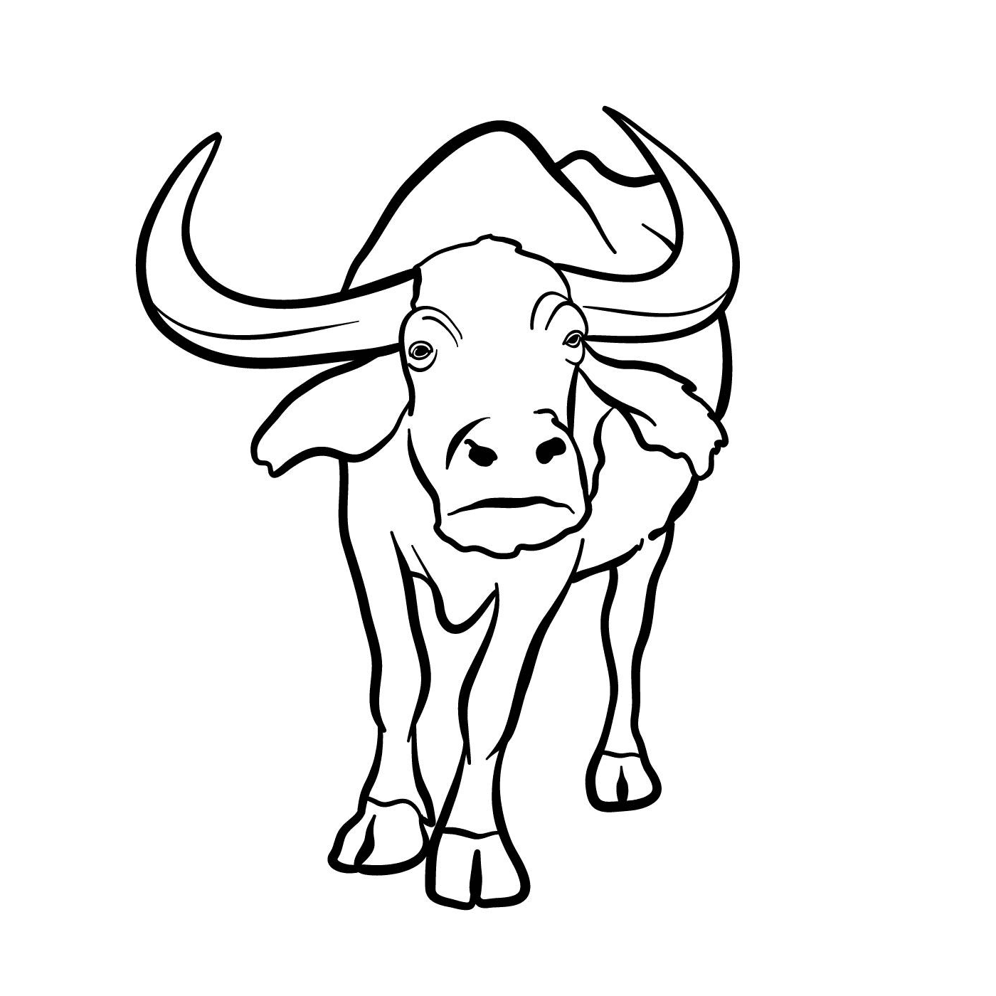   Un taureau avec des cornes 