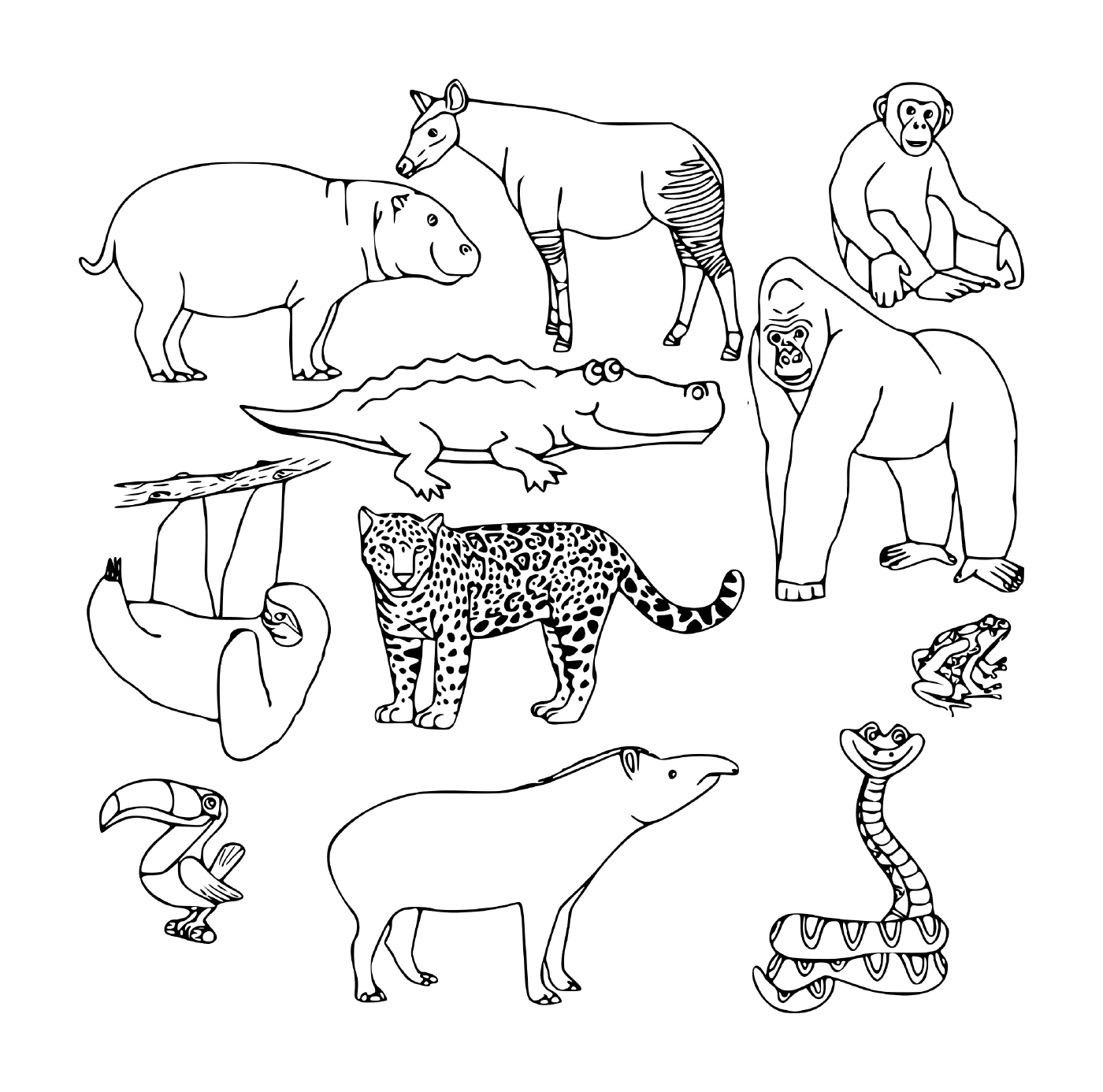   Un groupe d'animaux sauvages 