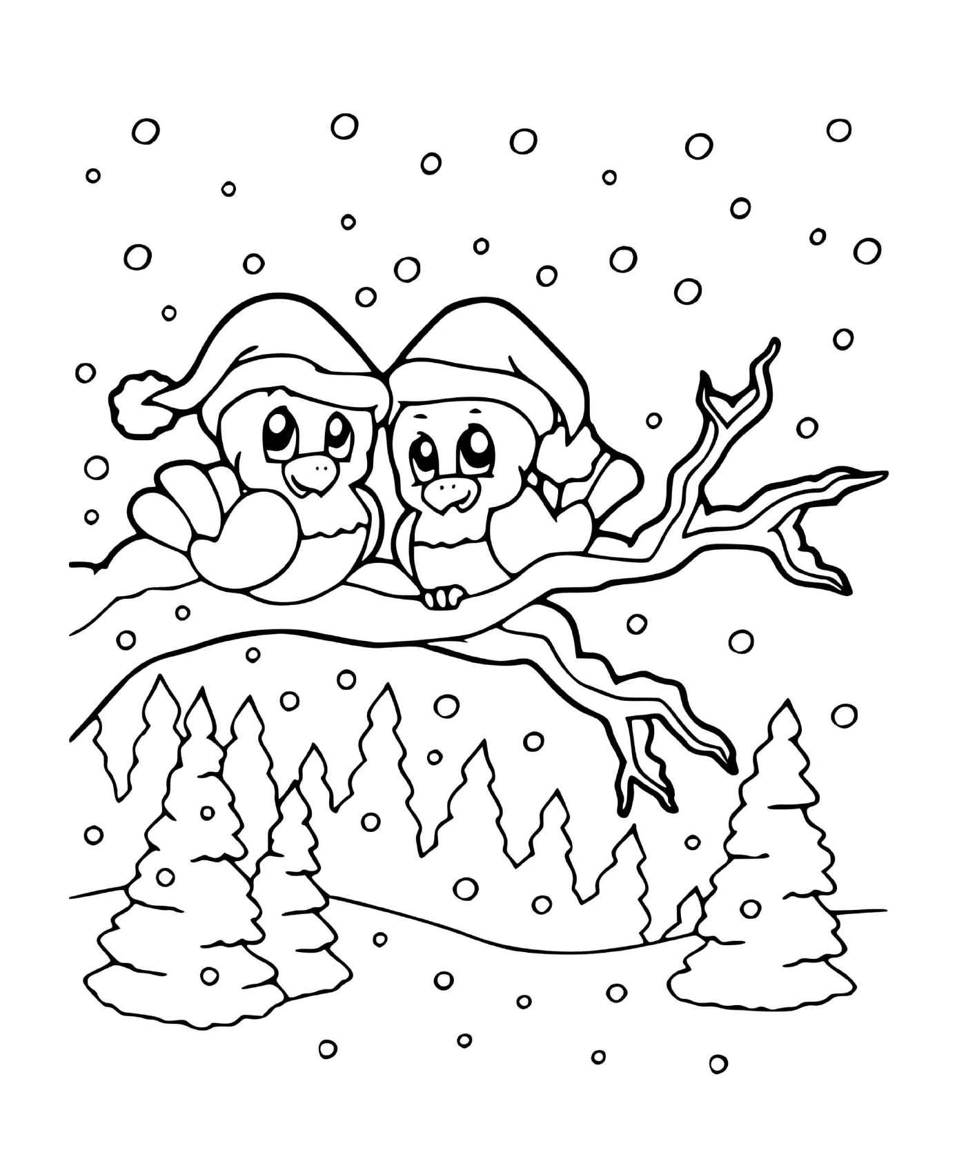   Oiseaux avec un chapeau de Père Noël sur un arbre 