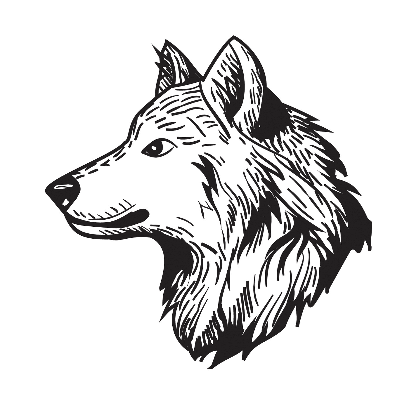   Tête de loup 