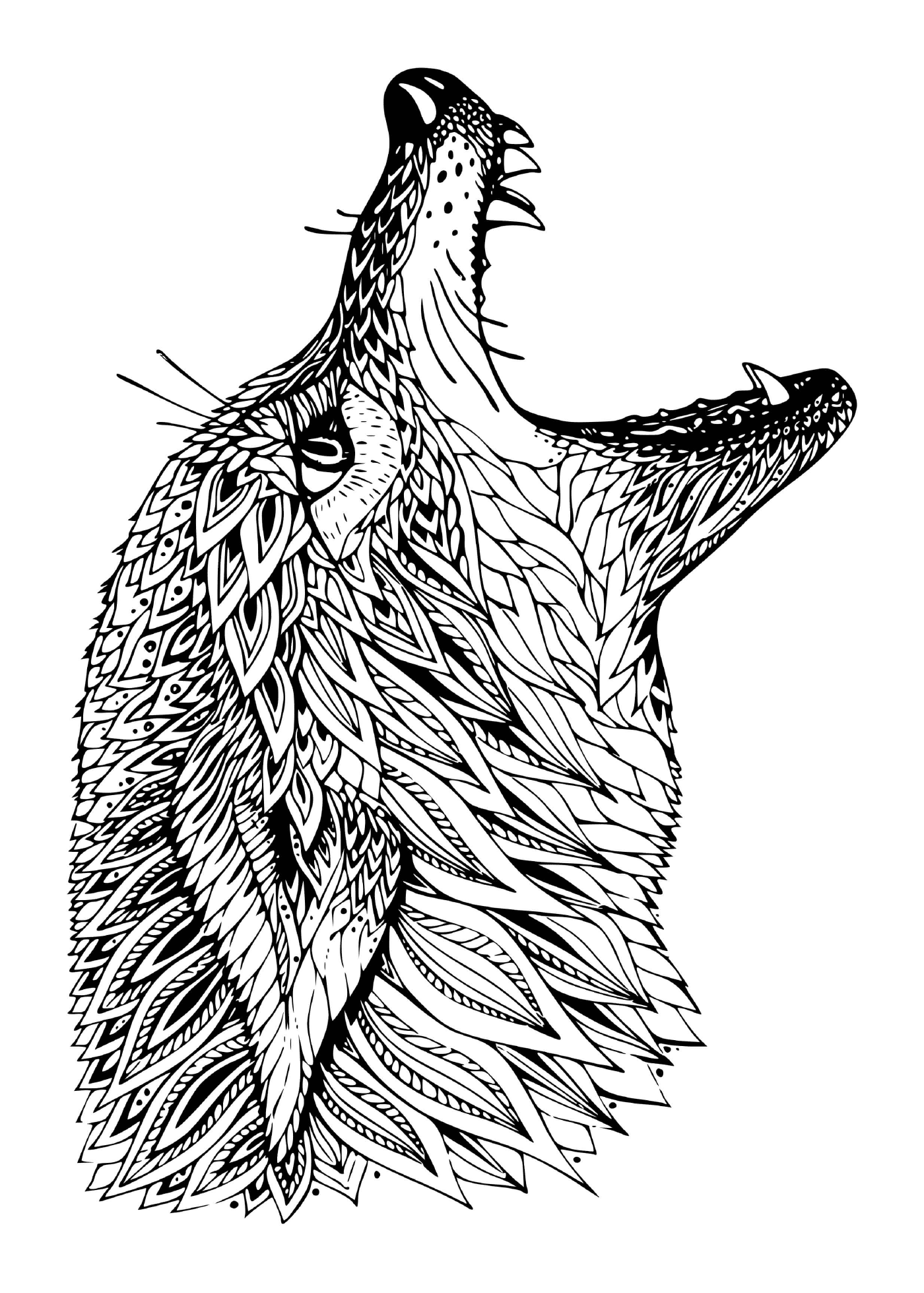   Tête de loup mandala détaillée 